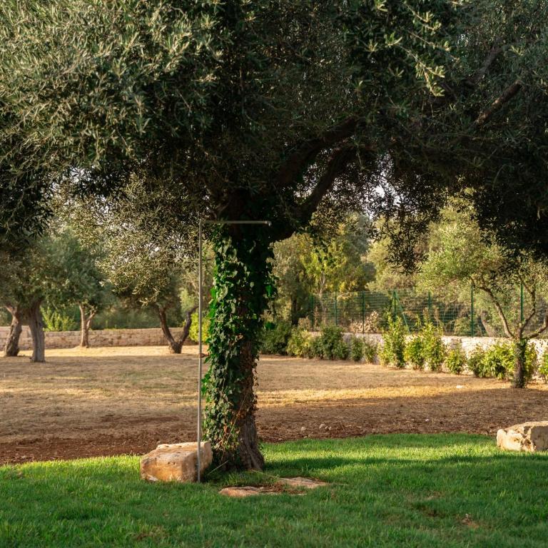 L'eremo di Tonio - Villa con 2 Camere da Letto - 18
