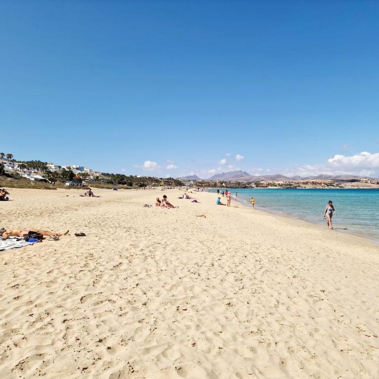 IDEAL CON NIÑOS , WIFI GRATIS Y PLAYA - Apartamento - Planta baja - 10