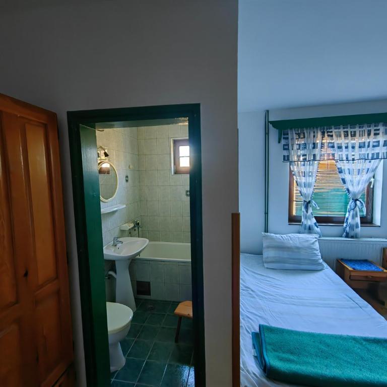 Zlatiborski Kutak - Standardni Studio - 5