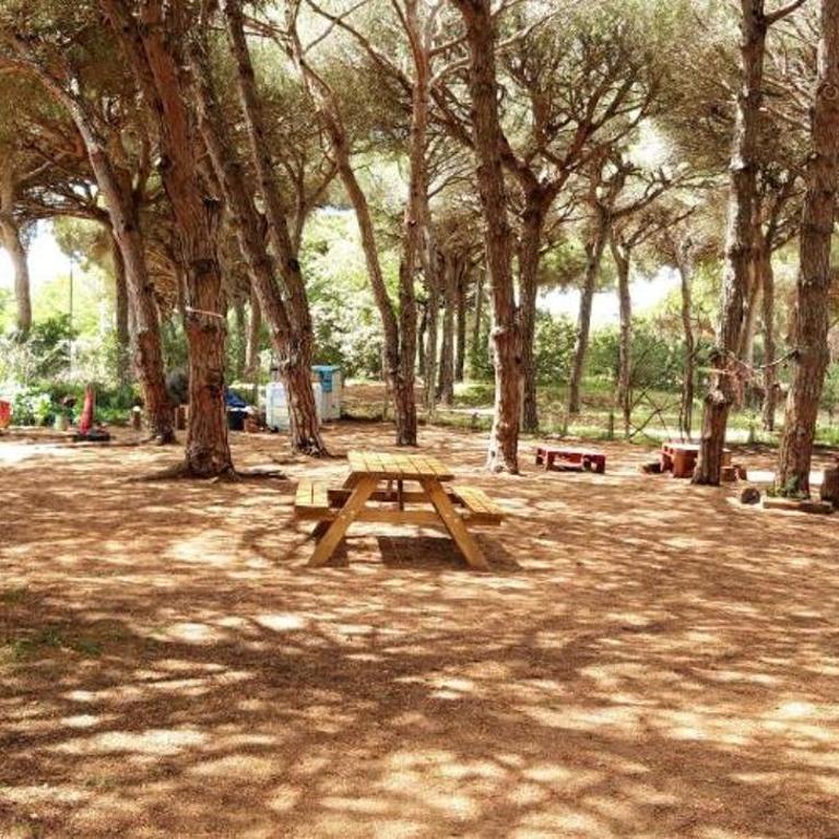 The PineForest Cabin - Casa - 24