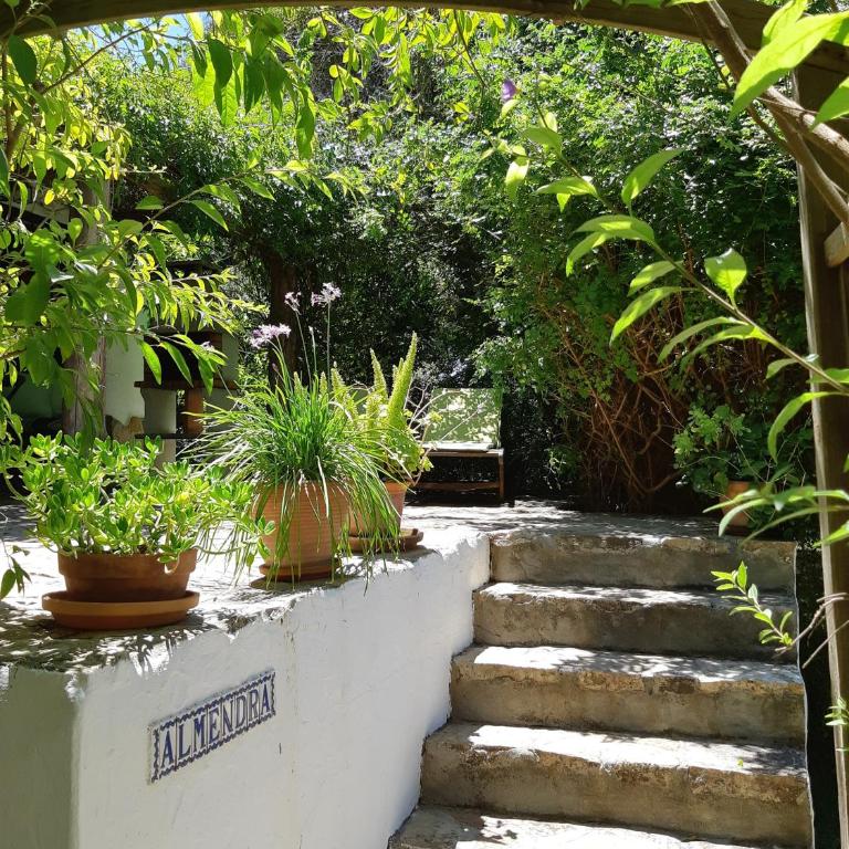 El Sueño Finca - eco finca with pool near beaches - One-Bedroom House - 16