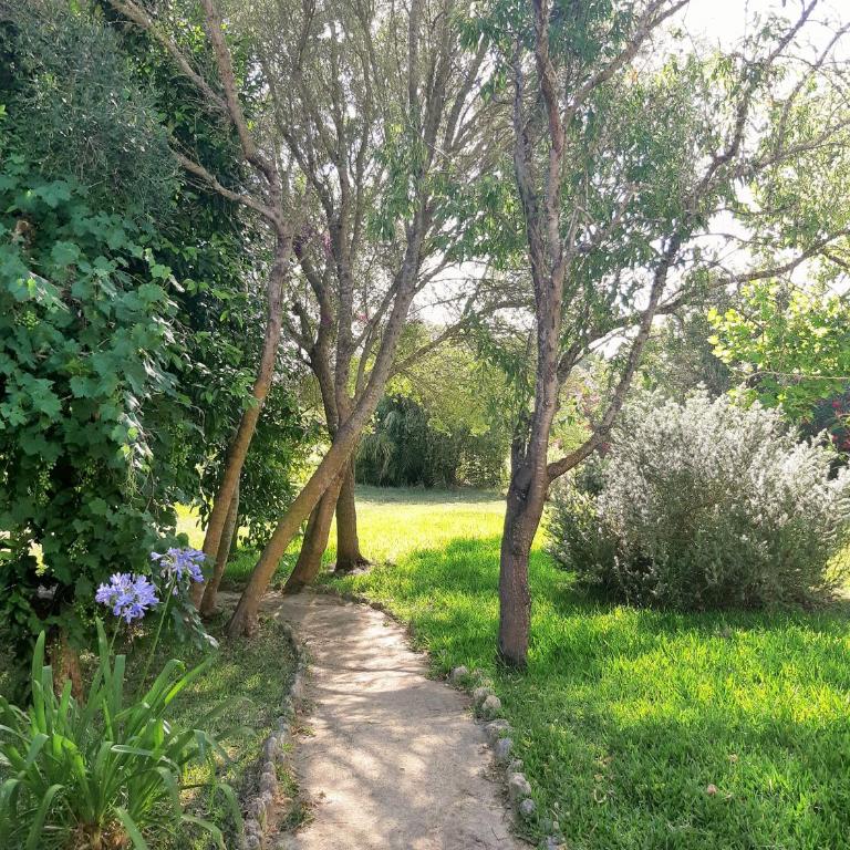 El Sueño Finca - eco finca with pool near beaches - Three-Bedroom House - 19