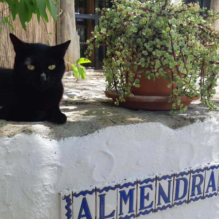 El Sueño Finca - eco finca with pool near beaches - One-Bedroom House - 26