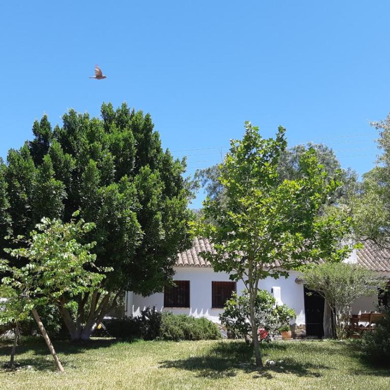 El Sueño Finca - eco finca with pool near beaches - Three-Bedroom House - 22
