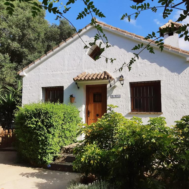 El Sueño Finca - eco finca with pool near beaches - Two-Bedroom House - 26