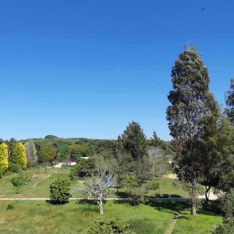 El Sueño Finca - eco finca with pool near beaches - One-Bedroom House - 5