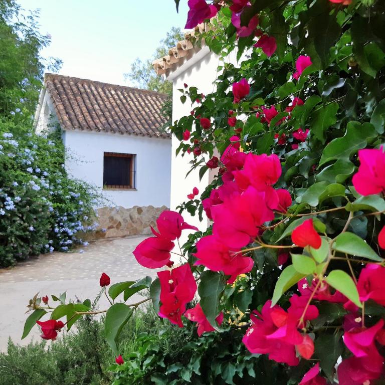 El Sueño Finca - eco finca with pool near beaches - One-Bedroom House - 11