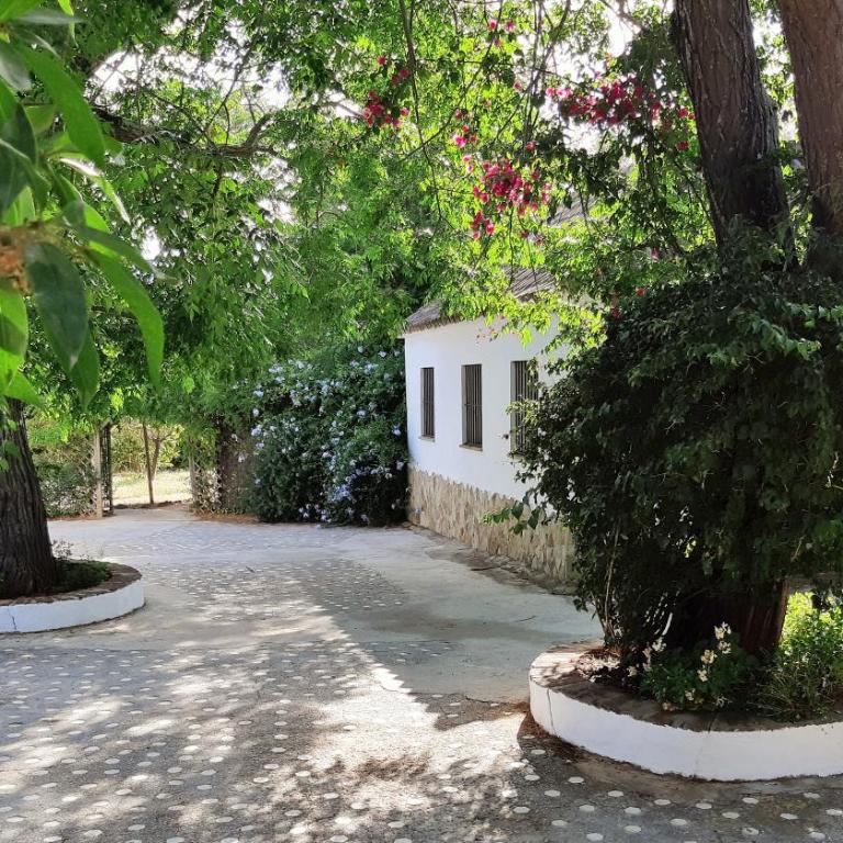 El Sueño Finca - eco finca with pool near beaches - Three-Bedroom House - 13