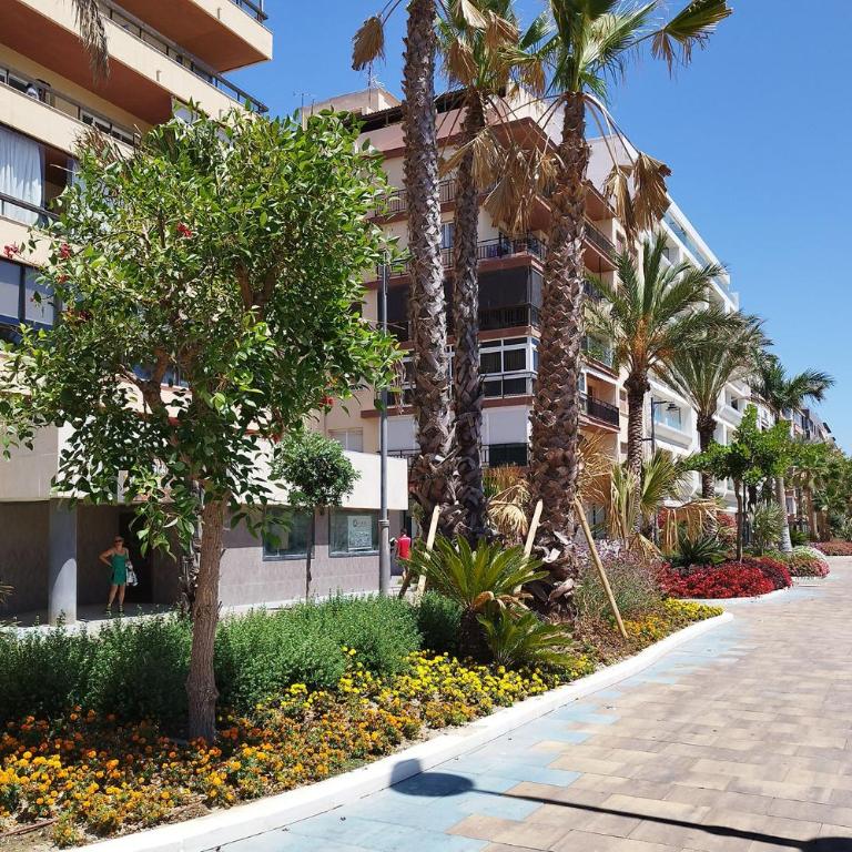 Los Reales - Apartamento de 3 dormitorios - 21
