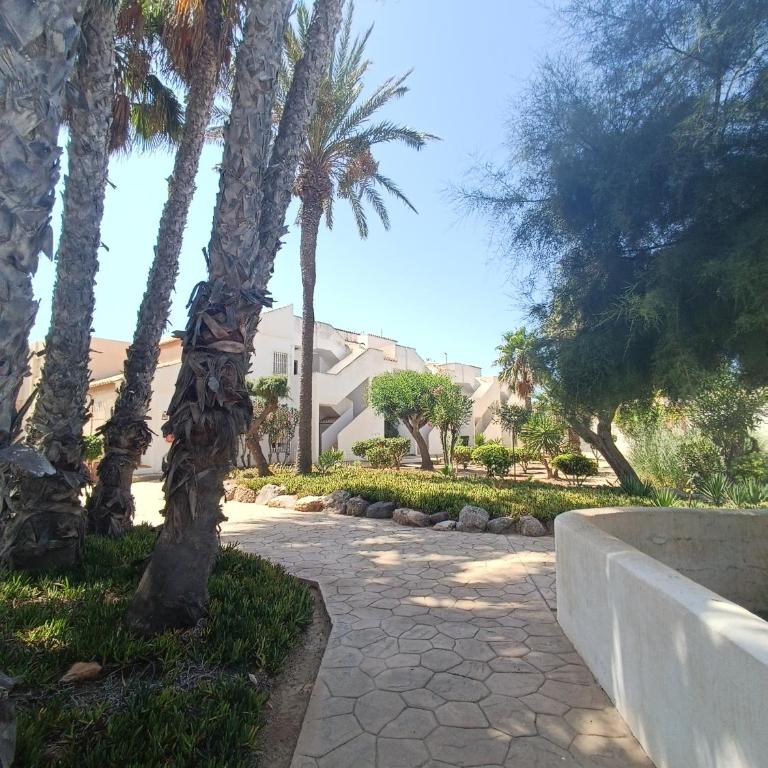 Apartamento Los Mangos - One-Bedroom Apartment - 23