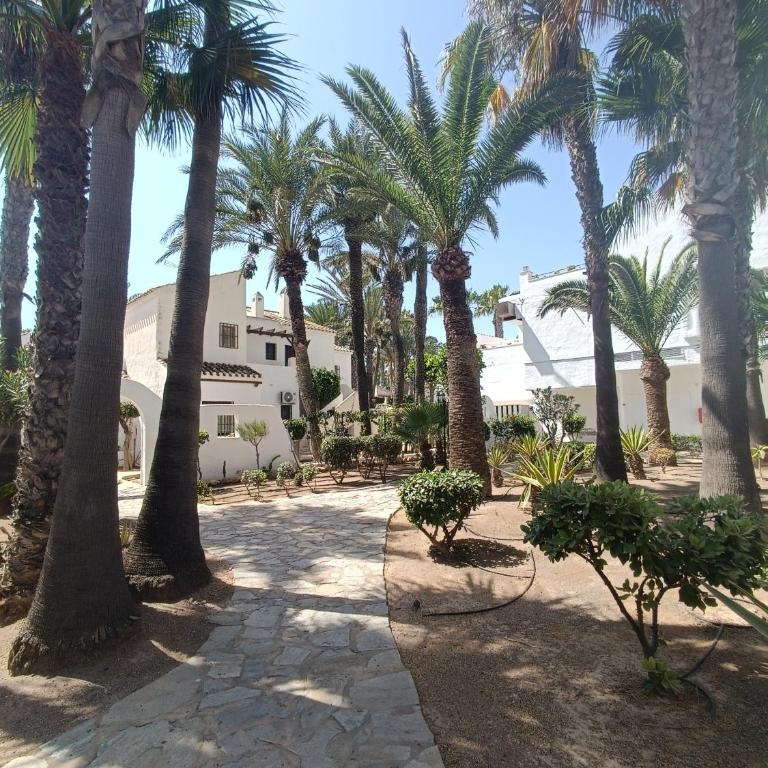 Apartamento Los Mangos - One-Bedroom Apartment - 20