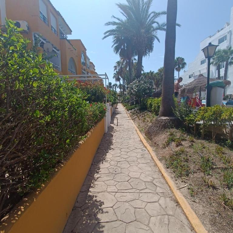 Apartamento Los Mangos - One-Bedroom Apartment - 19