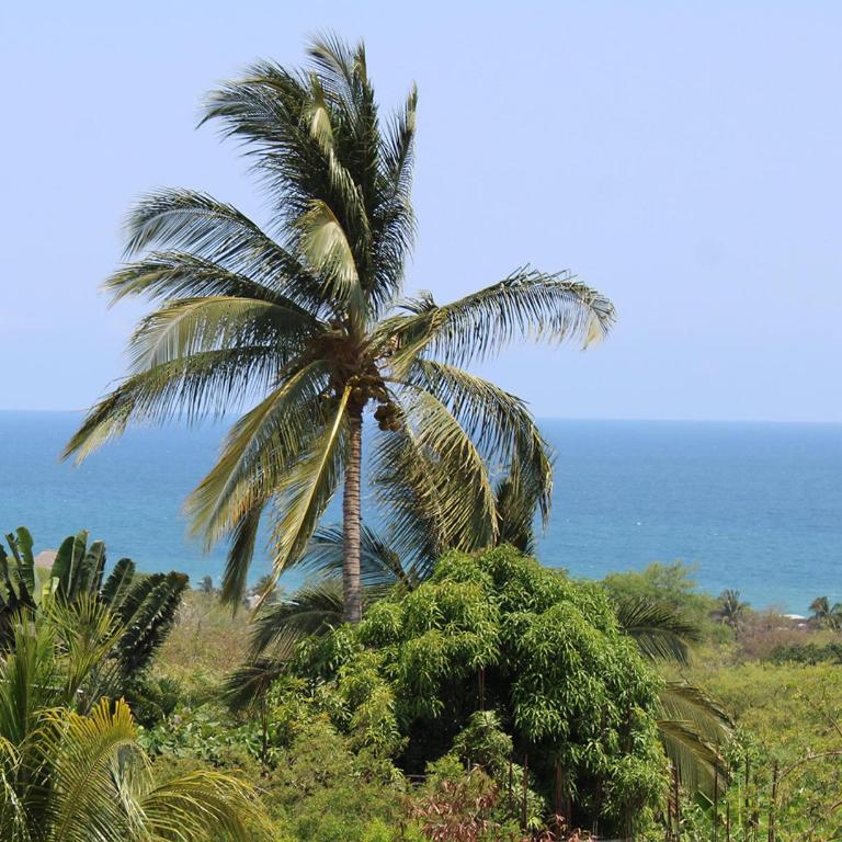 New Luxury Villa - Ocean View - Oxygen Pool - CASA SANA - Villa de 1 dormitorio - 13
