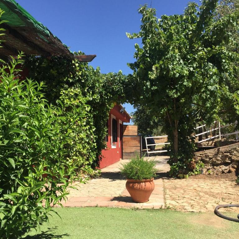 CASA RURAL PONCE DE LEÓN - Casa de 2 dormitorios - 8