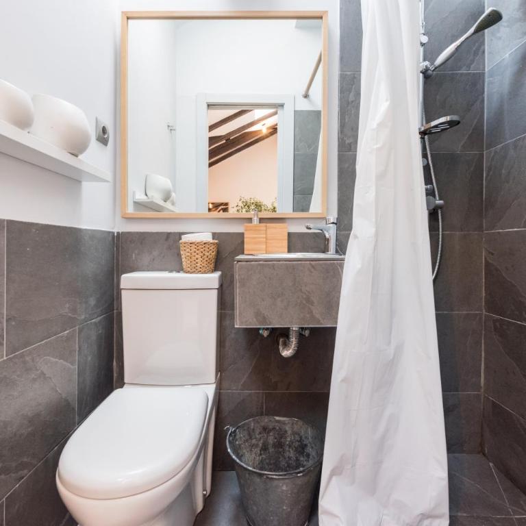 Bohemian 2bedroom attic in Lavapies - Apartment - 15