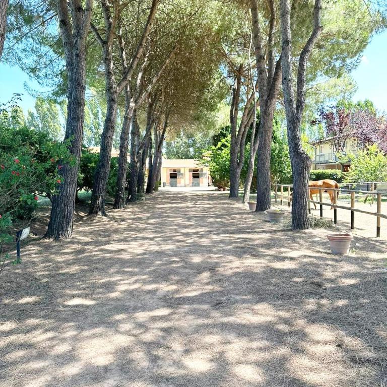 Turfrose di San Rossore a Pisa by Zoom In Earth - Appartamento con 2 Camere da Letto - 6