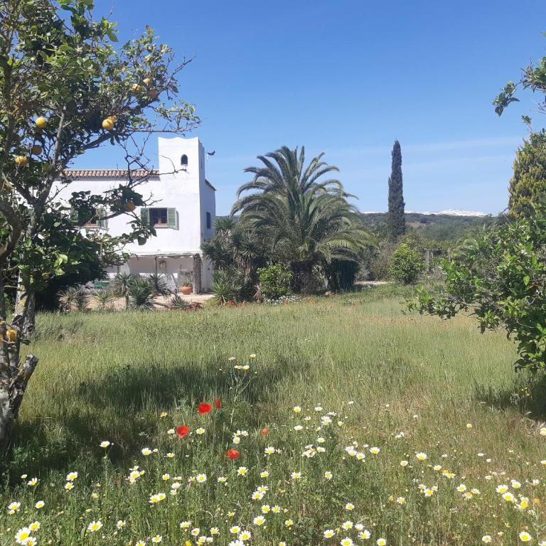 Cortijo del Sueño - Villa Superior - 29