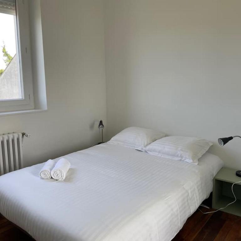 LA DOUCE Saumuroise - Maison 5 Chambres - 43