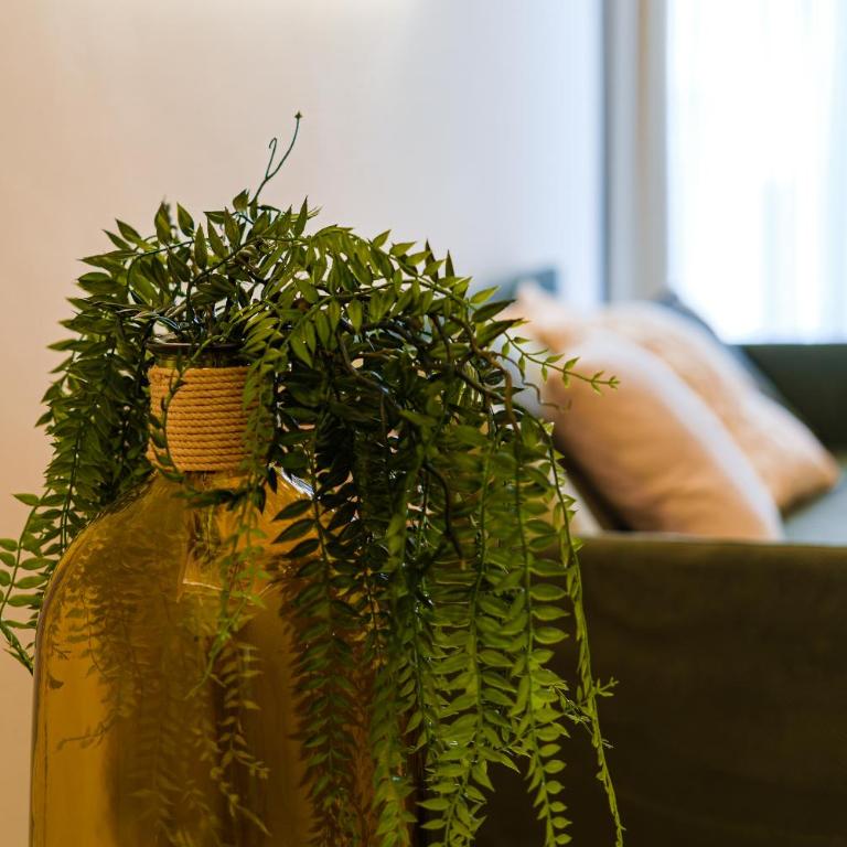 HelloAPULIA Charming Palazzo Clemente - self-catering suites with aircondition - One-Bedroom Apartment - 9
