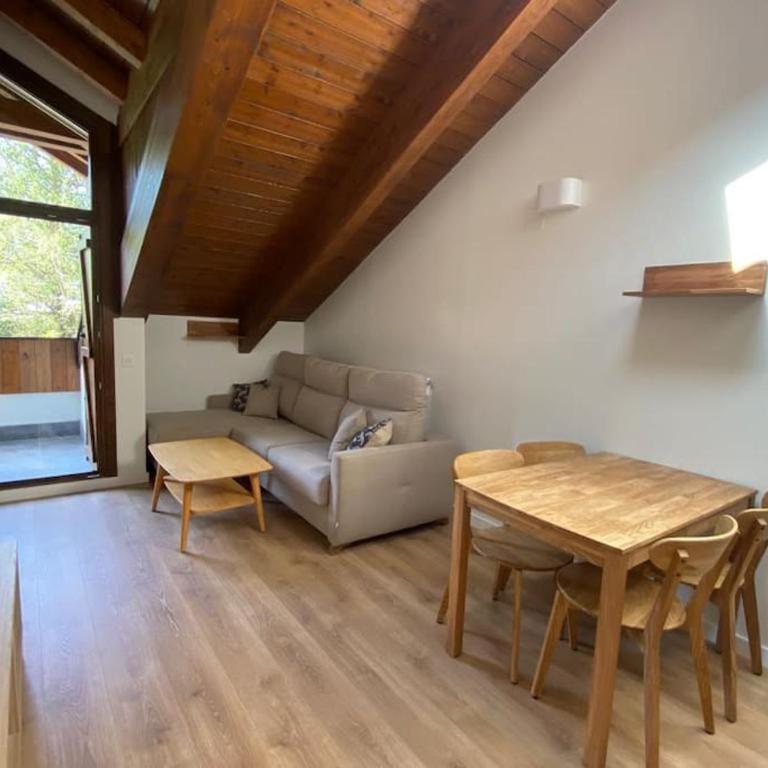 BPIRINEOS- Aire Pirineos - Apartamento de 1 dormitorio - 3