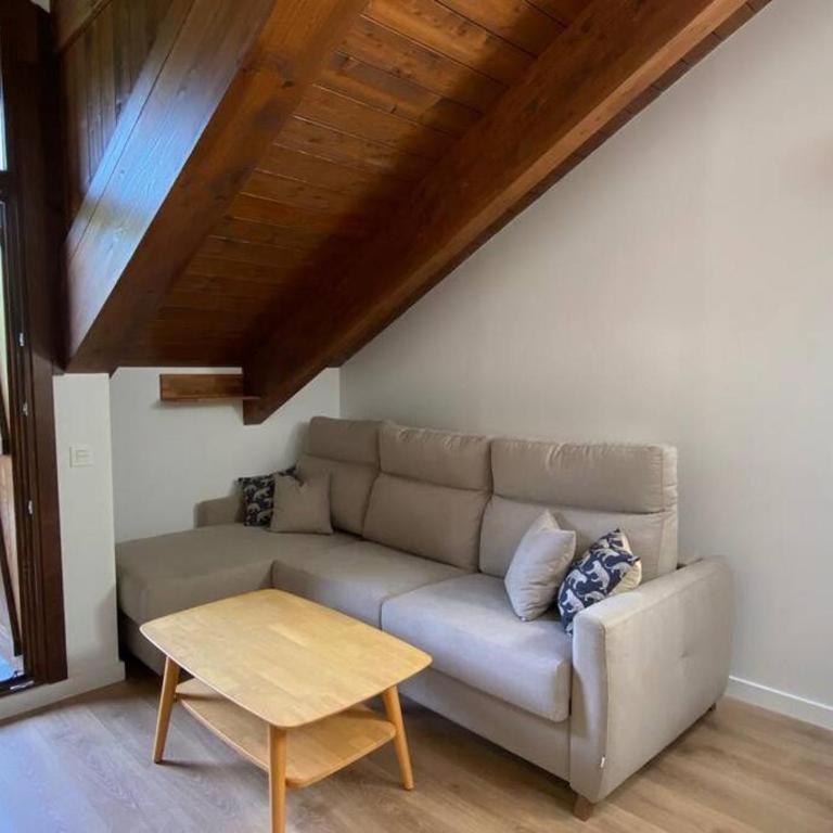 BPIRINEOS- Aire Pirineos - Apartamento de 1 dormitorio - 7