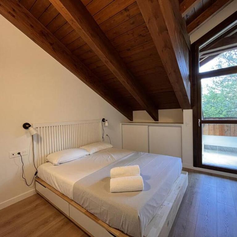 BPIRINEOS- Aire Pirineos - Apartamento de 1 dormitorio - 8