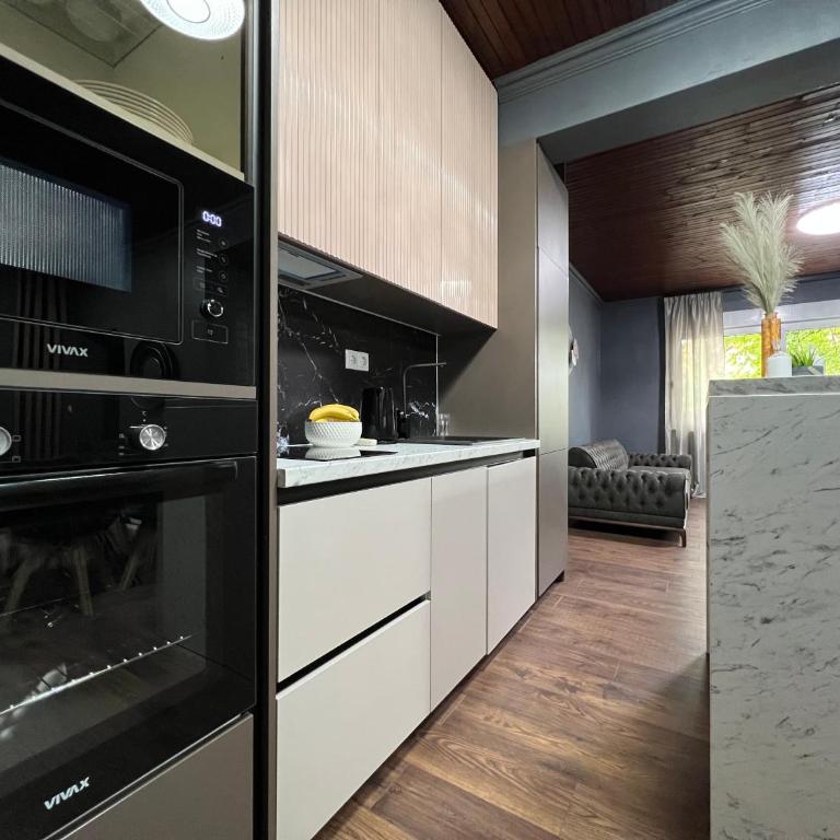 Lux apartments Crystal-center - Deluxe Apartment - 11