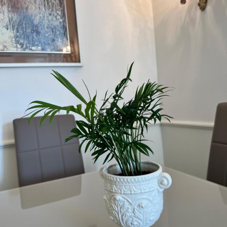 Circo Massimo Sweet Home - next to FAO - Appartamento con 1 Camera da Letto - 16