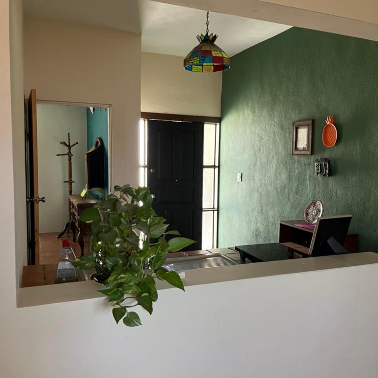 Apartamento Completo Cabo San Lucas - Apartamento de 1 dormitorio - 13