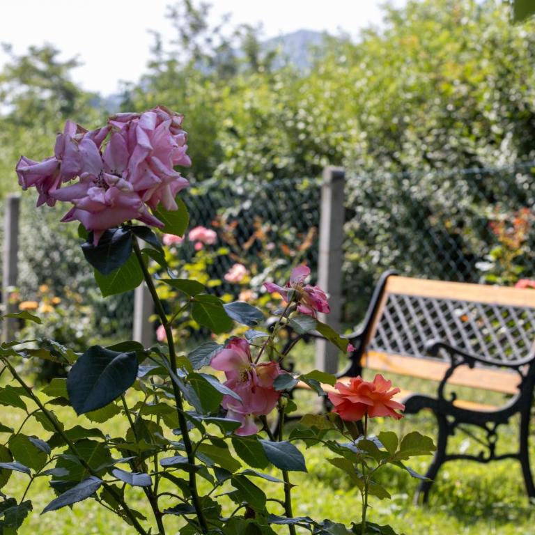 VillaH Weekend House - Kuća sa 1 Spavaćom Sobom - 23