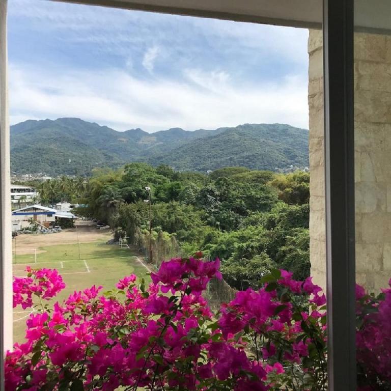 Departamento con espectacular vista a la montaña. - Apartment with Mountain View - 39