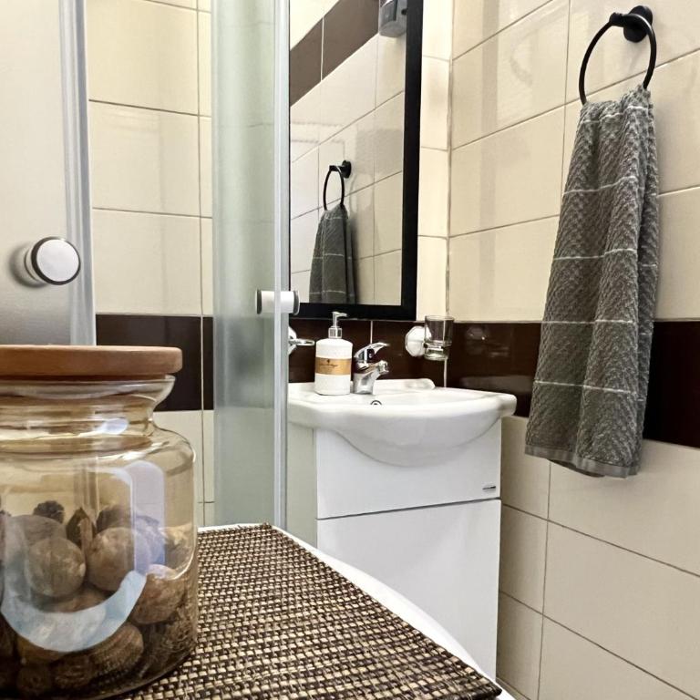Panama apartment - Apartman sa 1 Spavaćom Sobom - 14