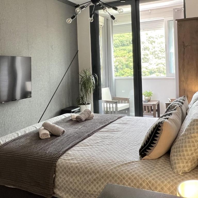 Panama apartment - Apartman sa 1 Spavaćom Sobom - 19