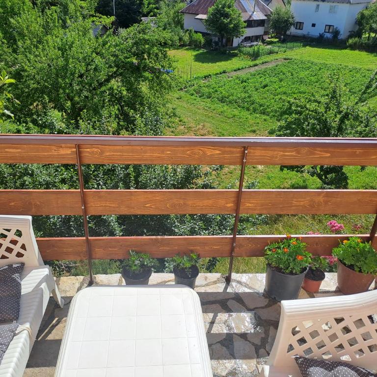 SAŠA - Apartman sa 1 Spavaćom Sobom - 8