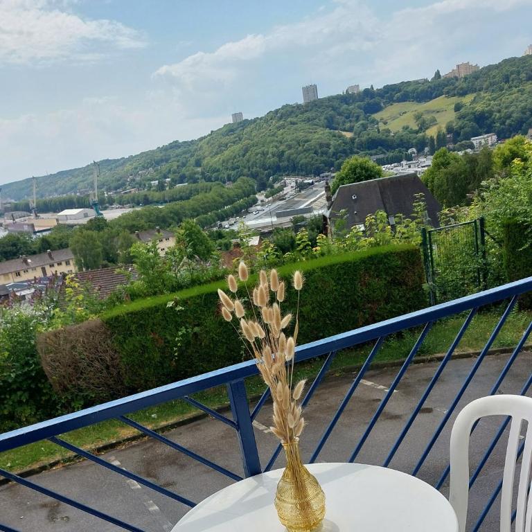 Rouen : Vue panoramique sur la seine avec parking - Appartement avec Balcon - 3