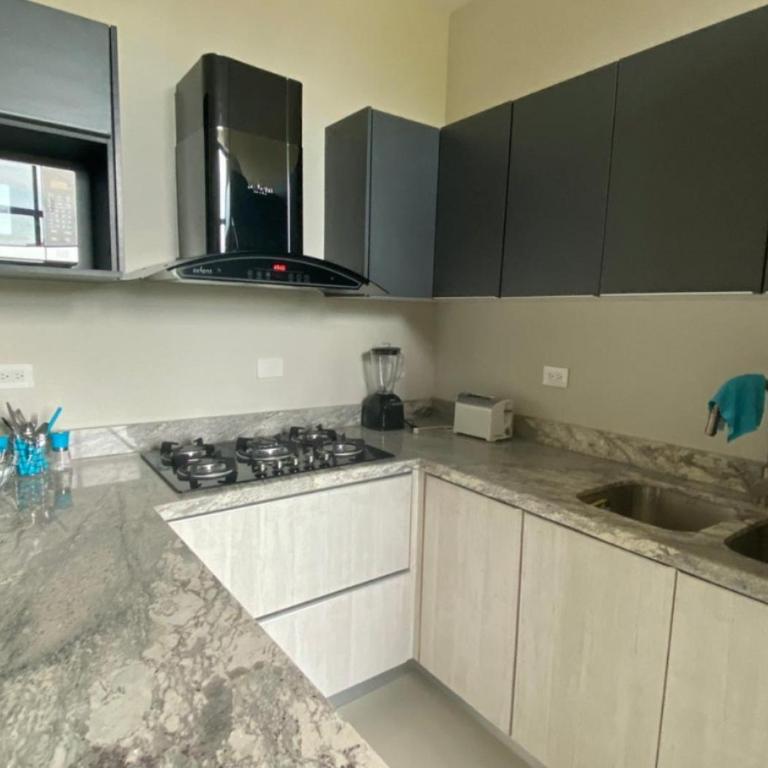 Departamento en renta en Zona Dorada - Two-Bedroom Apartment - 8