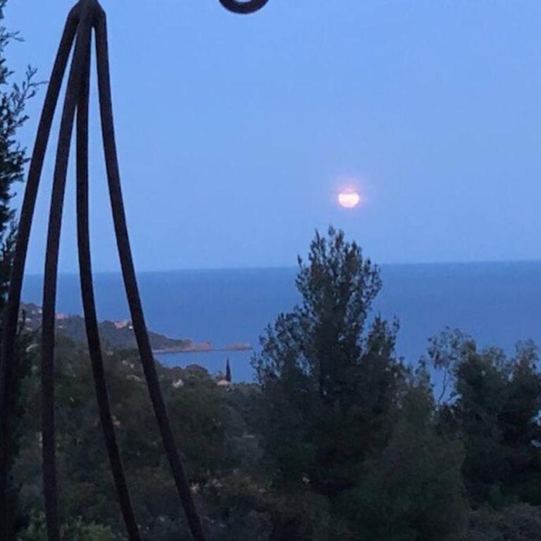 Nouveau ! pleine nature et vue mer au Lavandou - Villa 3 Chambres - 37