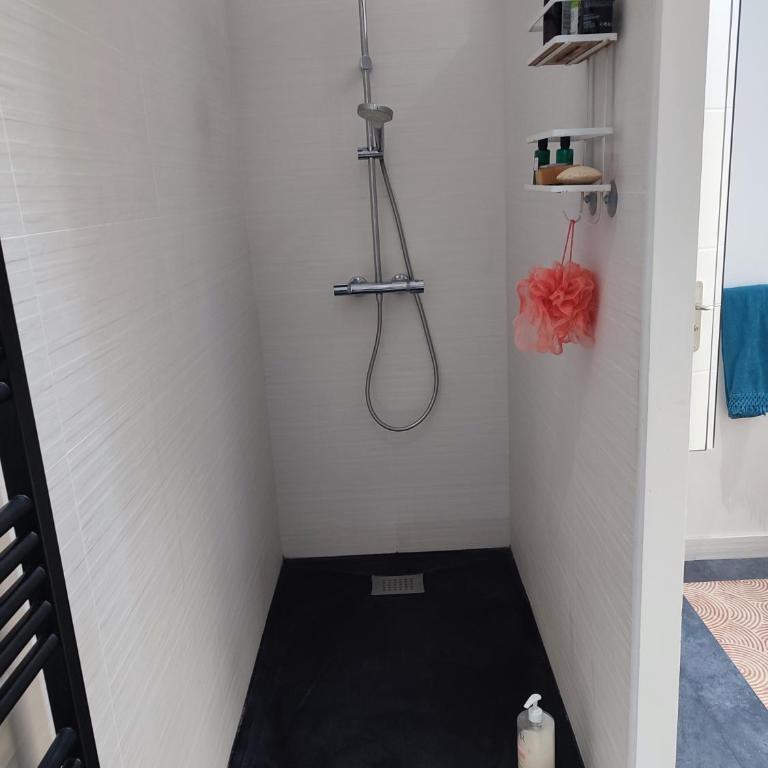 Appartement au Grau du roi - Apartment mit 2 Schlafzimmern - 16