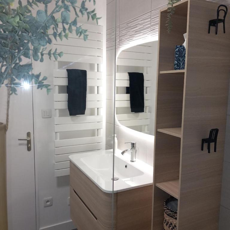 Sur les toits d'Orléans - Appartamento con 2 Camere da Letto - 13