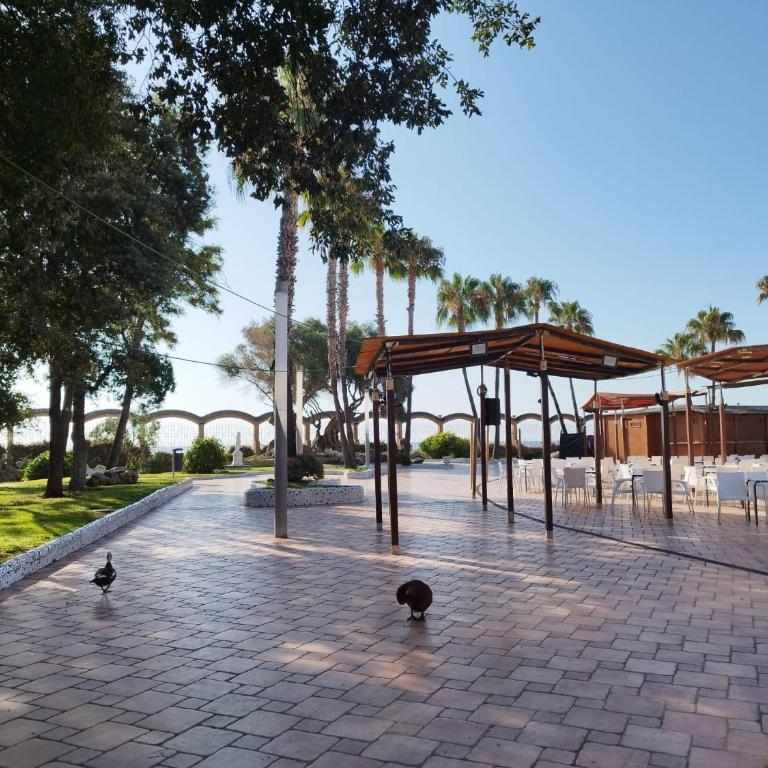 Apartamento COSTA CARIBE III - Magic Word-Marina D'Or - Apartamento de 2 dormitorios - 24