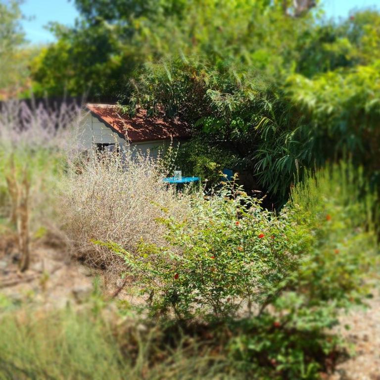 Chez Nous dans notre petit jardin - Camera Matrimoniale con Bagno Privato Esterno - 16