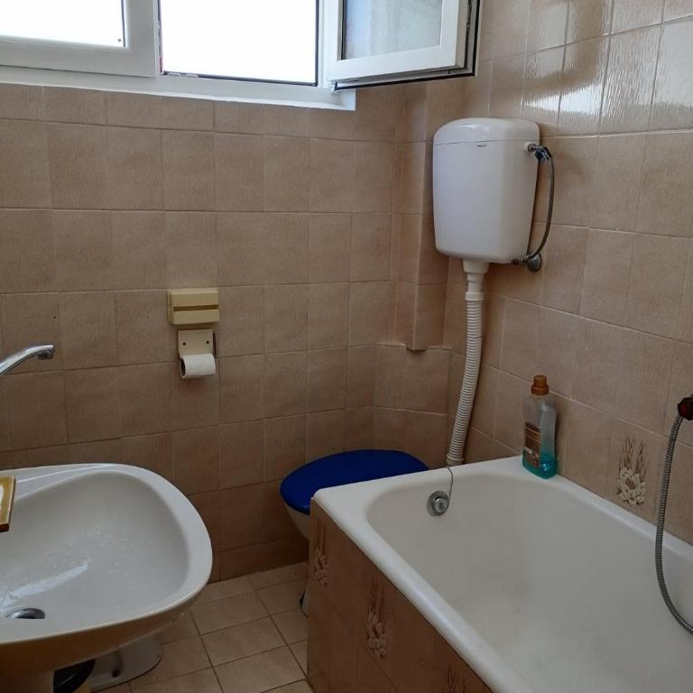 Vesela vila - Apartman sa 3 Spavaće Sobe - 9