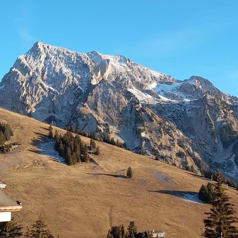 Appartement au cœur des Aravis - Appartement avec Balcon - 2