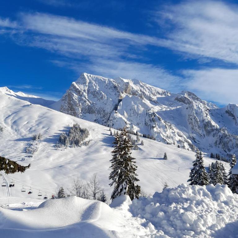 Appartement au cœur des Aravis - Appartement avec Balcon - 7