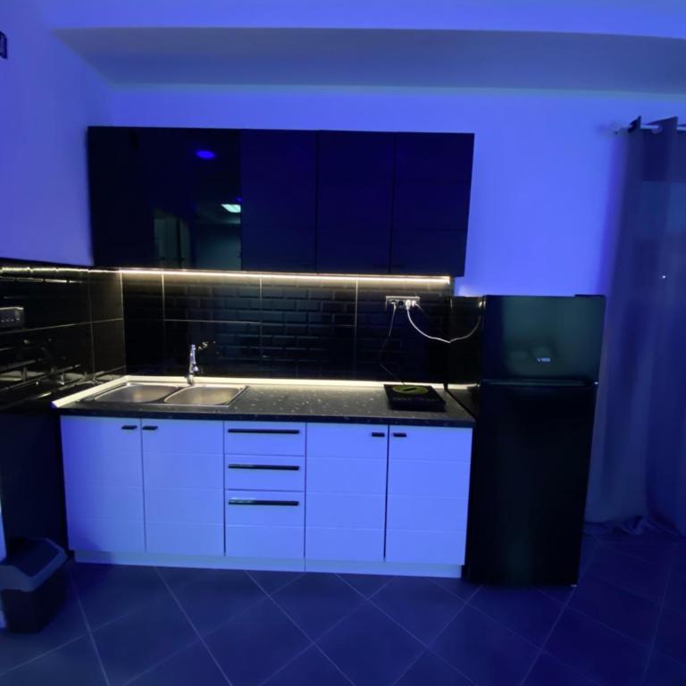 Apartman Dimitrijevic - Apartman sa 1 Spavaćom Sobom - 6