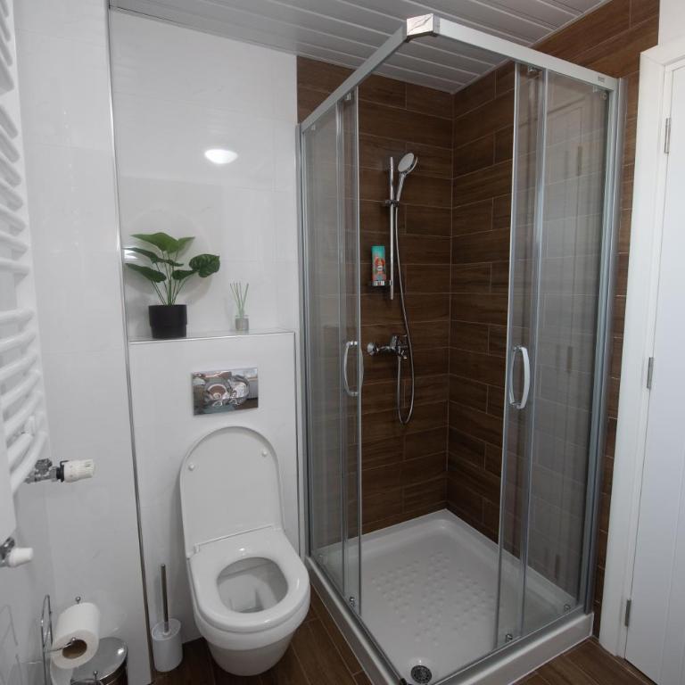 Lux Apartman Petrovic - Apartman sa 1 Spavaćom Sobom - 27