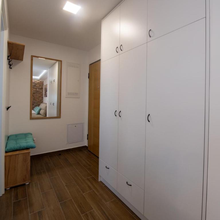 Lux Apartman Petrovic - Apartman sa 1 Spavaćom Sobom - 23