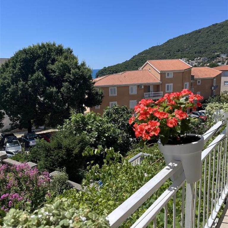 Apartmani Neda Bane - Studio with Balcony and Sea View - 6
