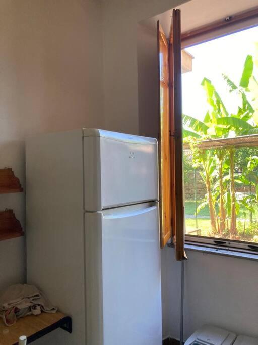 Green house di Alberto - Appartement 1 Chambre - 22