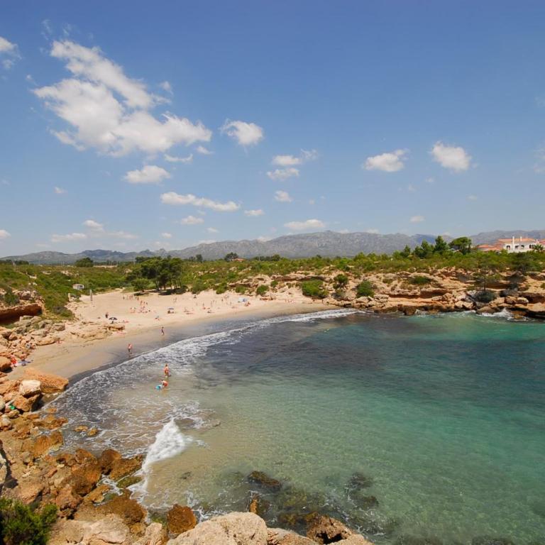 Apartamento en Pinar de la Cala - D - Apartamento de 2 dormitorios - 22